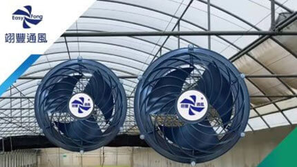 Booster fans are utilized in passion fruit cultivating green house application.